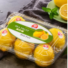 精选黄柠檬皮薄多汁新鲜水果 媲美进口柠檬特一级